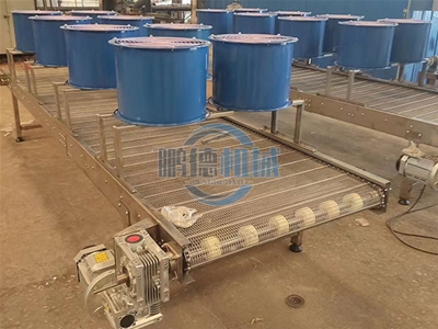 網(wǎng)帶輸送機
